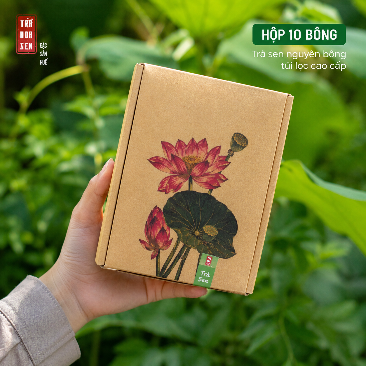 Trà sen Huế nguyên bông sấy lạnh - Hộp 10 bông - T15