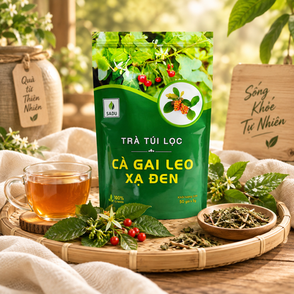 Trà Cà Gai Leo Xạ Đen Túi Lọc - T38