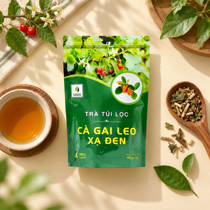 Trà Cà Gai Leo Xạ Đen Túi Lọc - T38